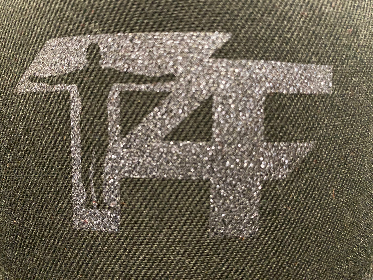 T4F Baseball Cap SnapBack