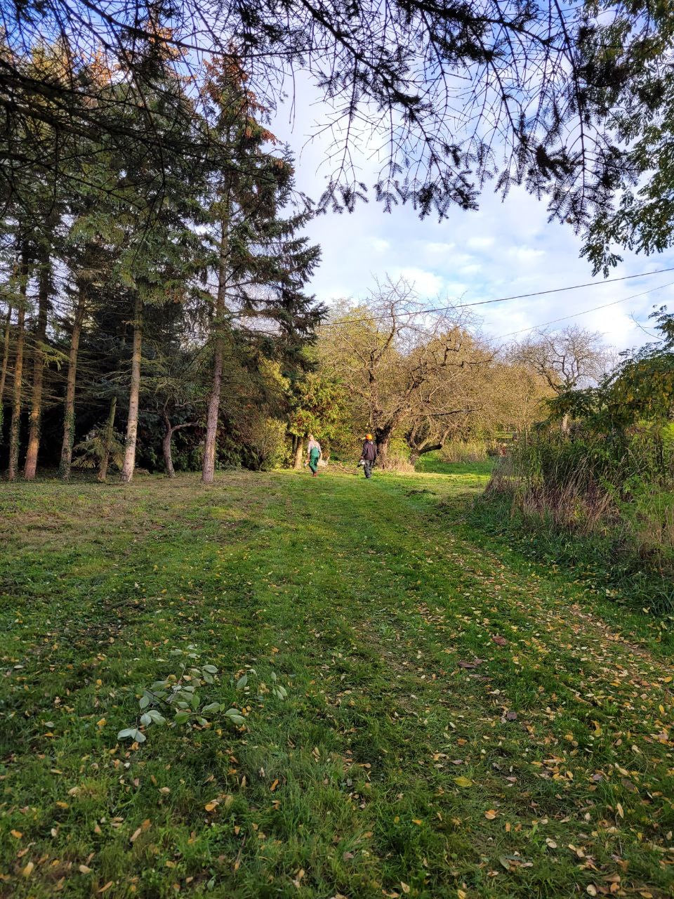 Athletiktraining (1h)